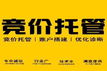 SEM营销推广案例：揭秘行业龙头企业的推广策略